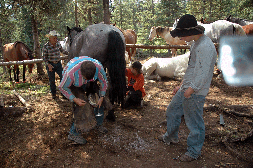 Shoeing horses in camp. Danny Hallcok, Dan Leonard, Darren Leonard, and Logan Leonard.